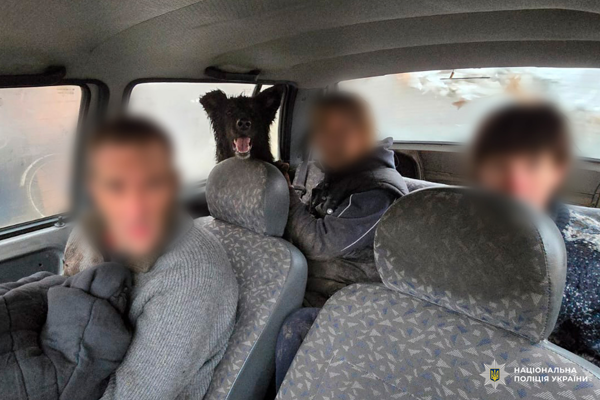 У салоні автомобіля троє людей із розмитими обличчями та чорний собака між сидіннями.