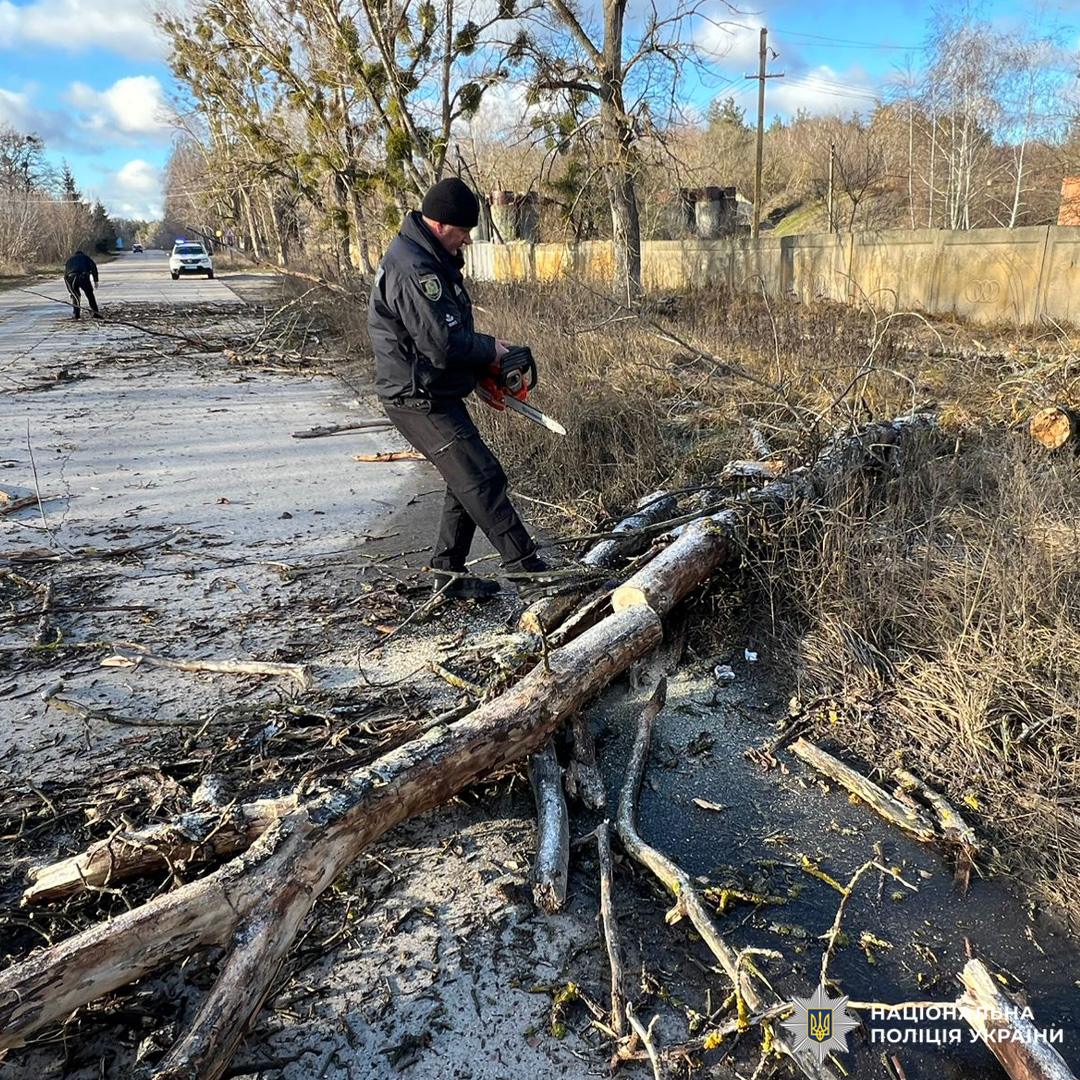 Поліцейський у формі розчищає територію від повалених гілок за допомогою бензопили.