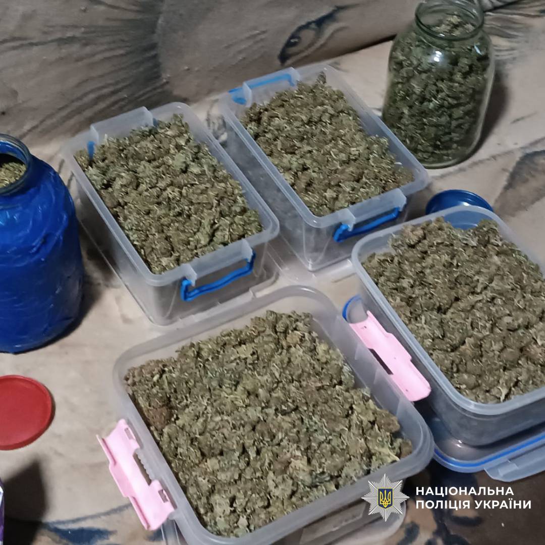 Поліцейські Харківщини викрили групу наркозбувачів та вилучили канабіс на суму близько 2,6 мільйона гривень