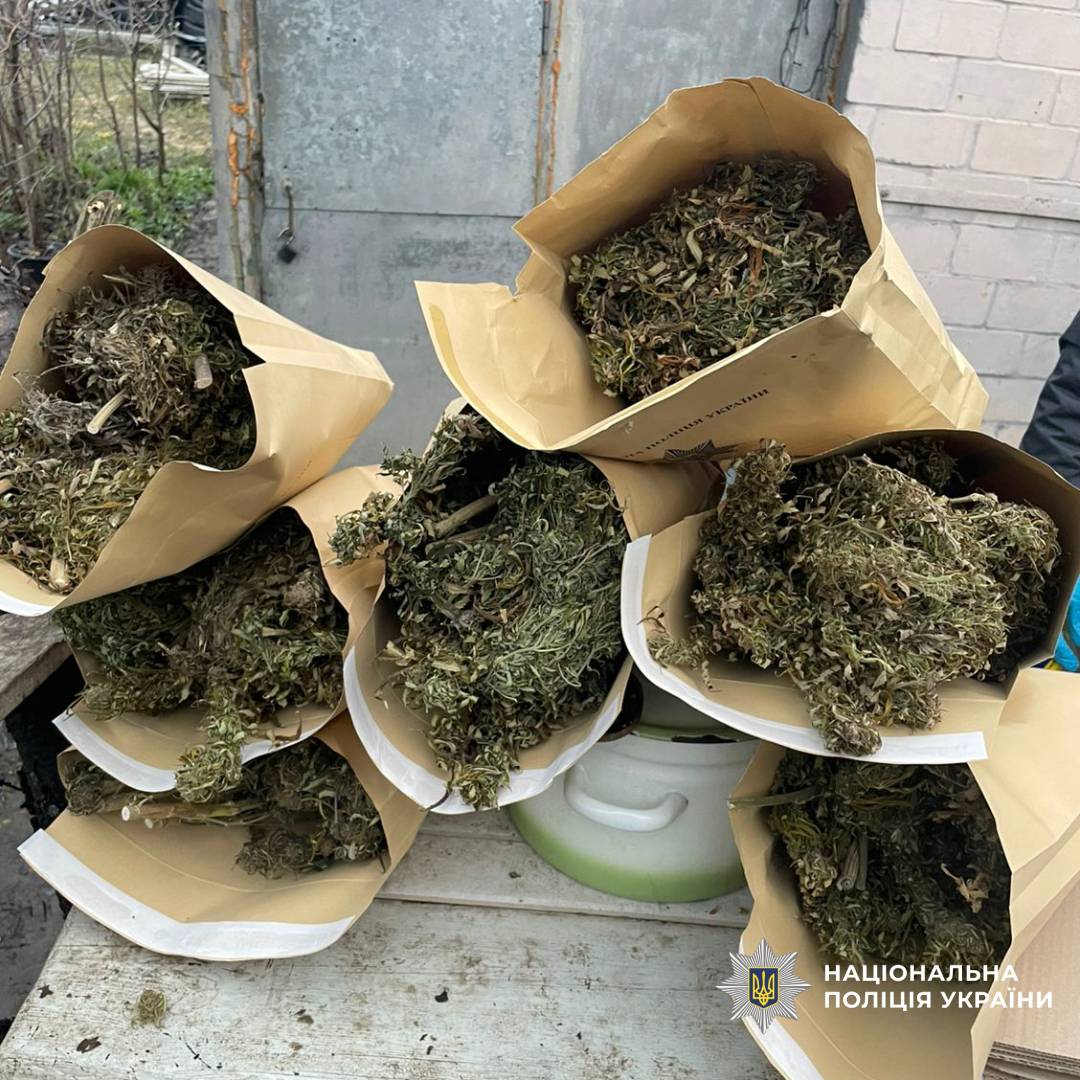 Поліцейські Харківщини викрили групу наркозбувачів та вилучили канабіс на суму близько 2,6 мільйона гривень