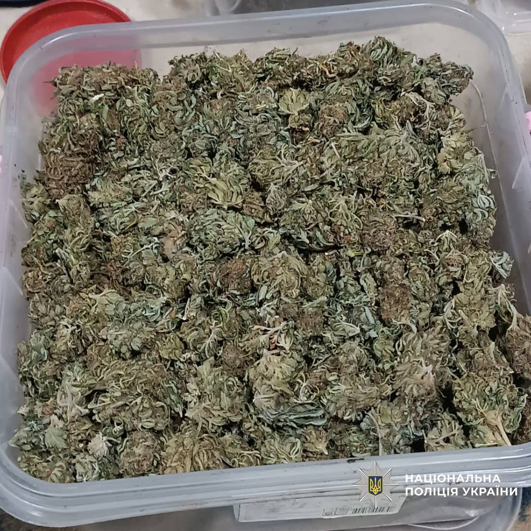 Поліцейські Харківщини викрили групу наркозбувачів та вилучили канабіс на суму близько 2,6 мільйона гривень