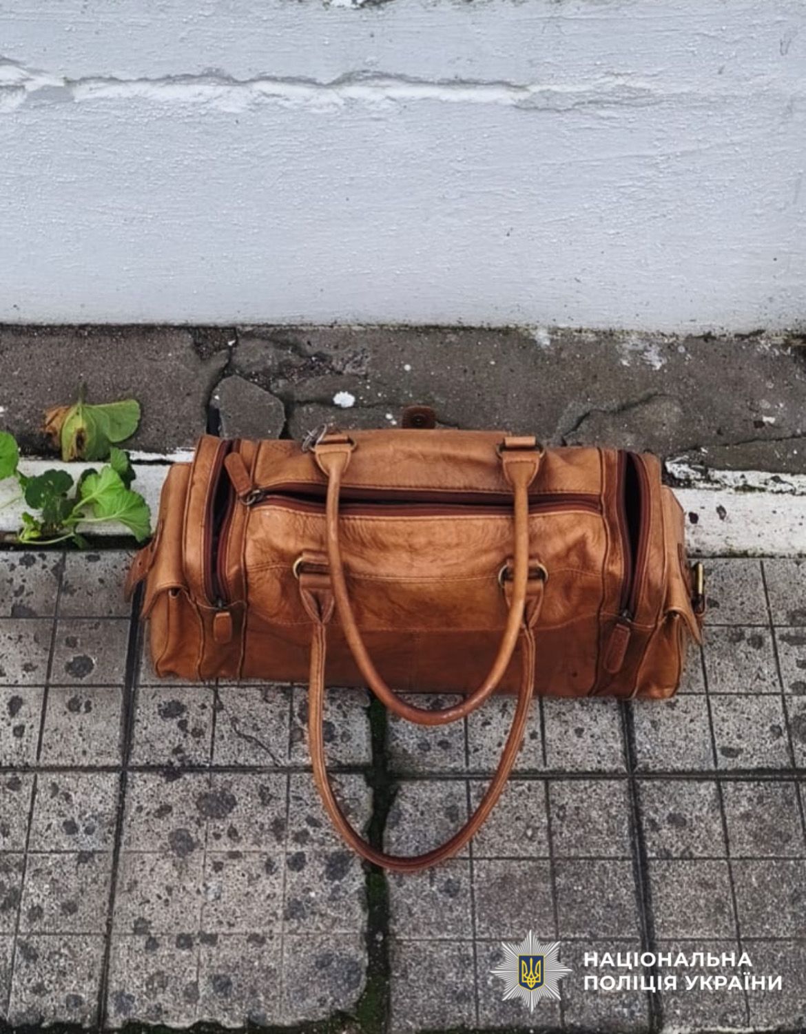 На фотографії зображено викрадену сумку в жінки.