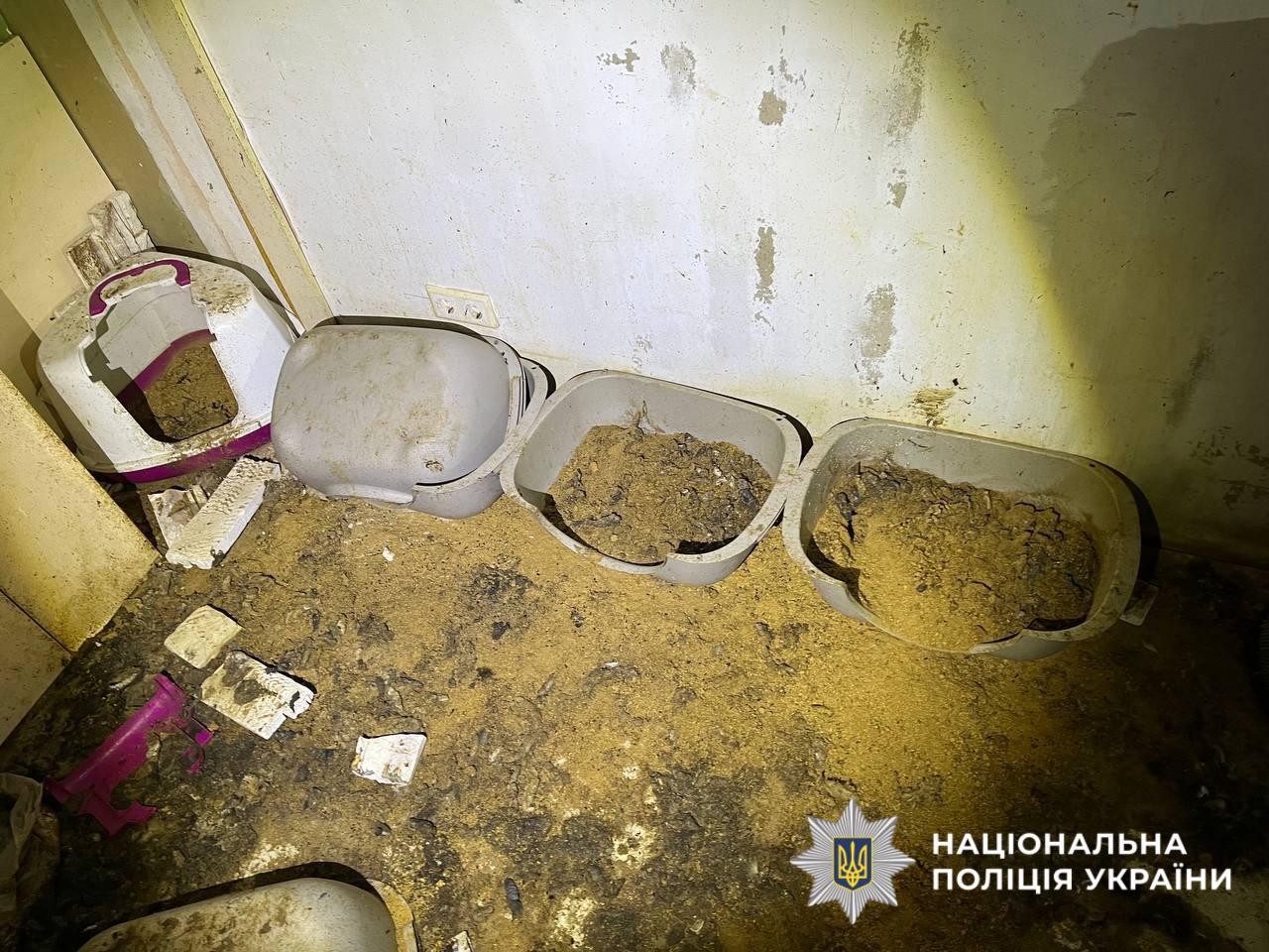 На фотографії зображено місце події, де утримувалися тварини, які загинули.