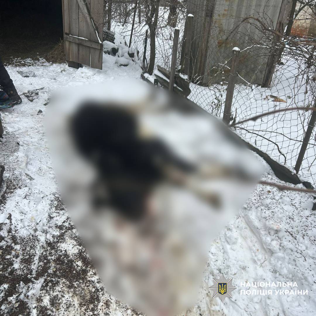 поліцейські Харківщини продовжують документувати воєнні злочини