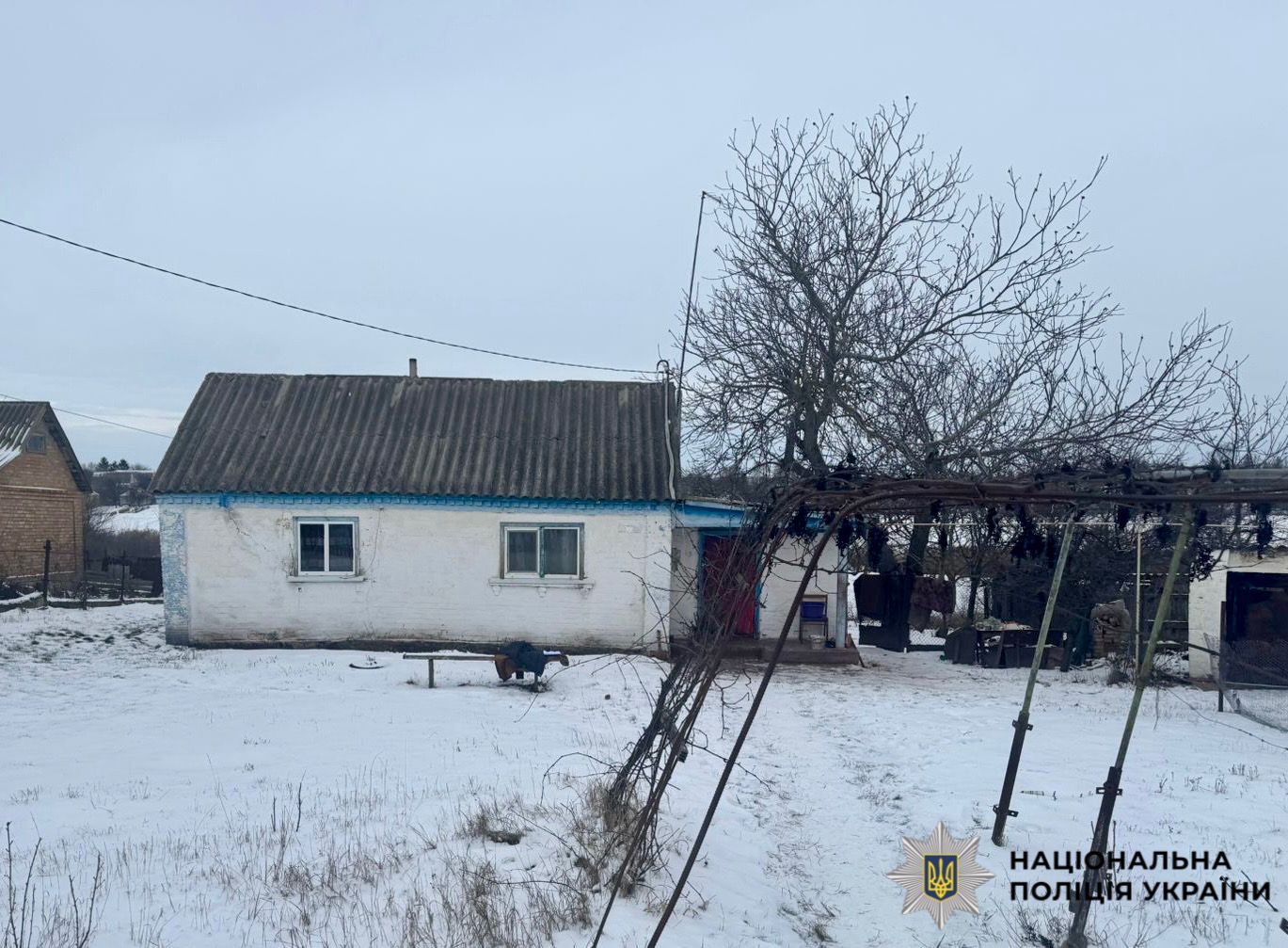 На фото зображений будинок і подвір'я, де сталася подія.