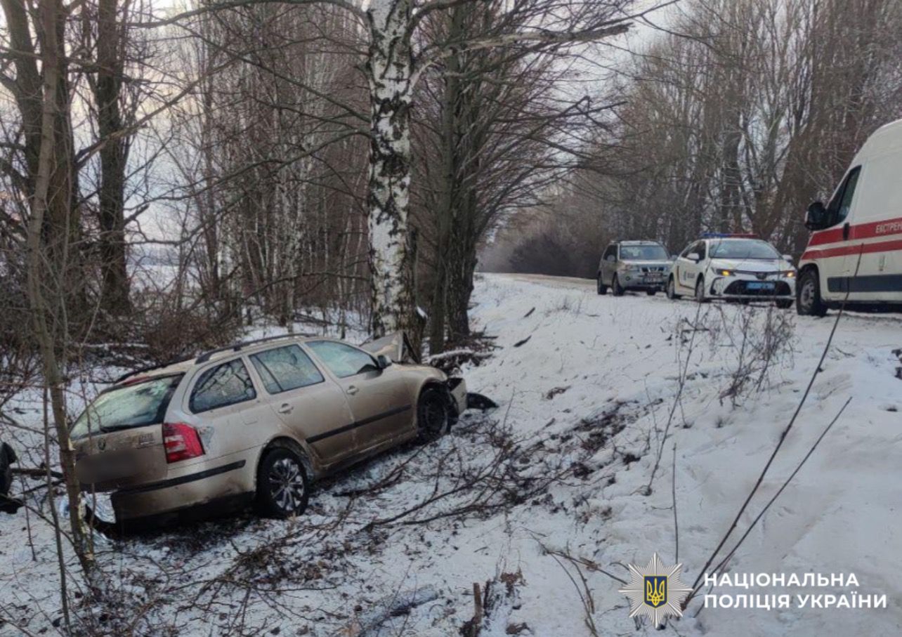 На фотографії зображено місце події та автомобіль, який є учасником ДТП.
