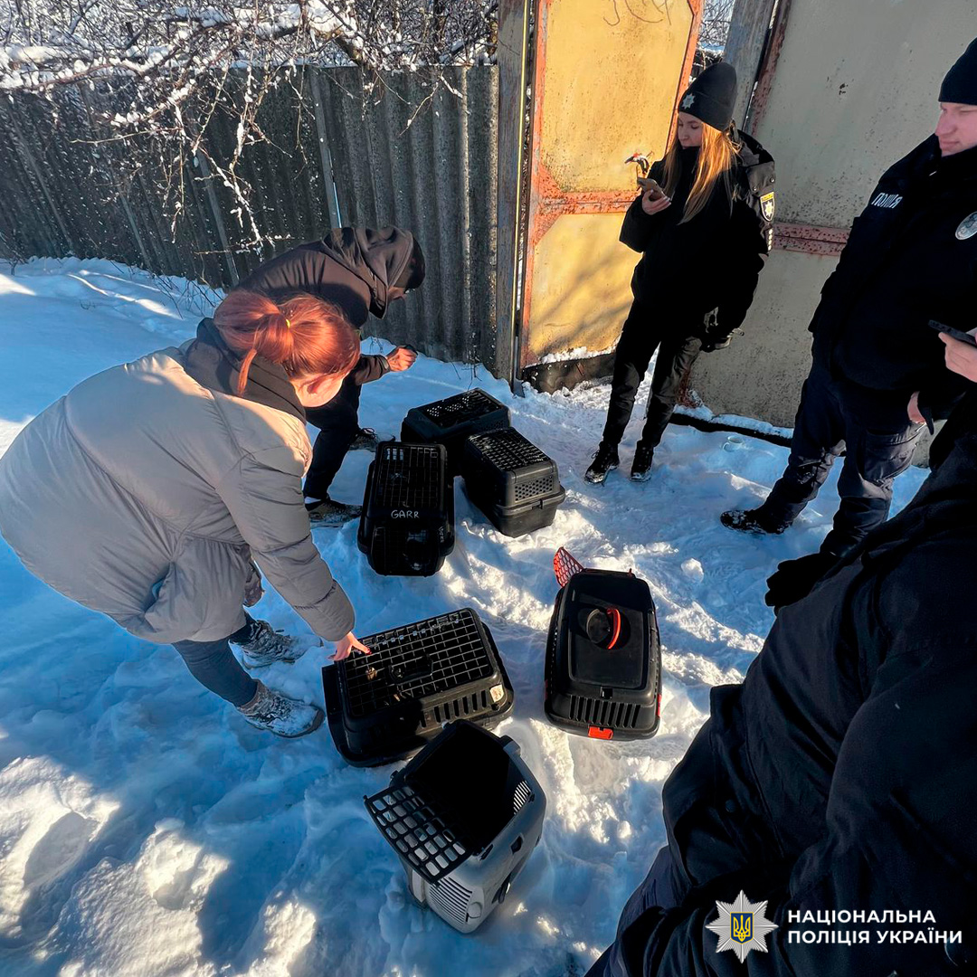 На засніженій ділянці біля металевої огорожі група людей, серед яких є працівники Національної поліції України, оглядає переноски для тварин, розташовані на землі.