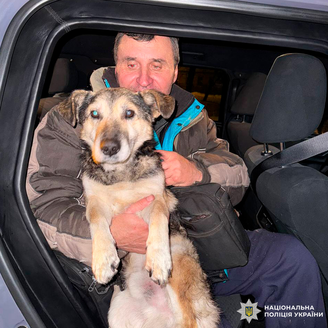 Чоловік у салоні автомобіля тримає собаку.