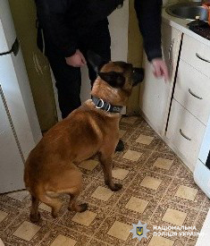 Встановлено, що фігуранти налагодили постачання наркотичних засобів з країн Європи на територію України, а також організували збут героїну, фентанілу та кокаїну у Львові. Щомісячний прибуток злочинної групи становив понад 4 мільйони гривень.