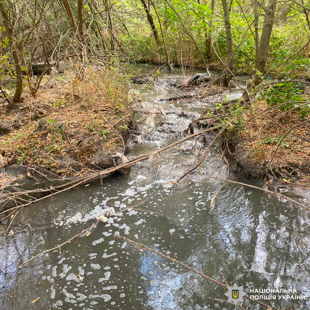 Забруднений струмок із піною та сміттям у лісовій місцевості.