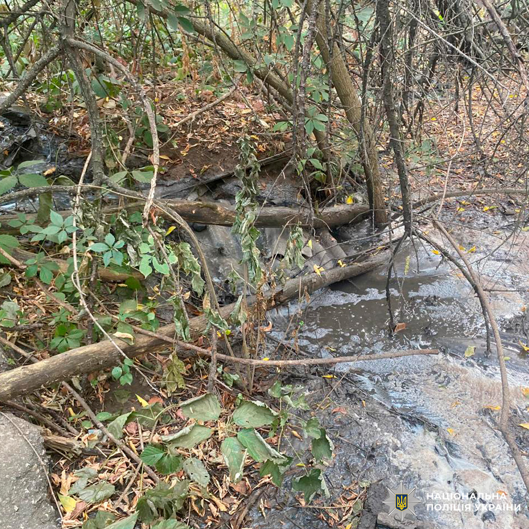 Забруднений струмок із піною та сміттям у лісовій місцевості.