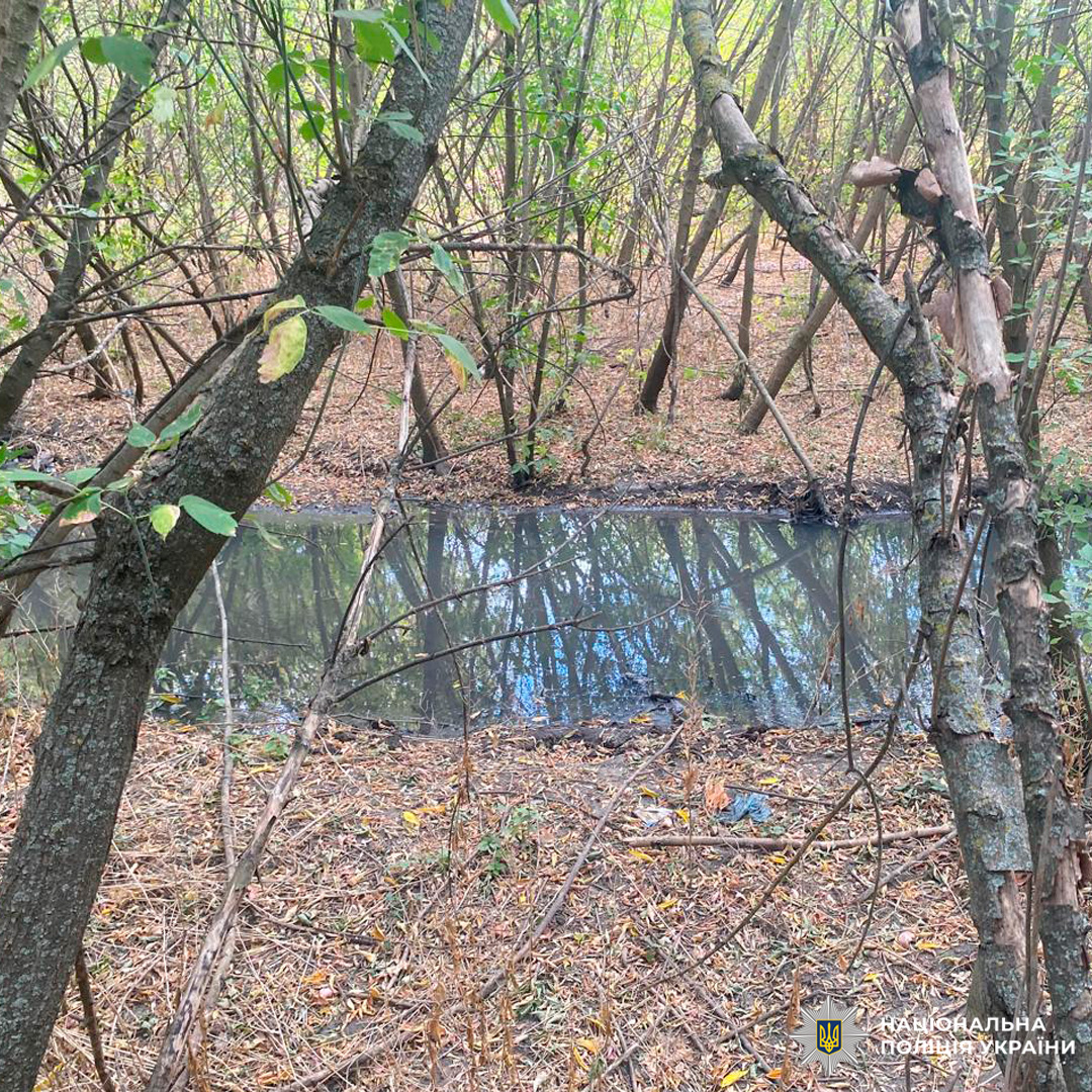 Забруднений струмок із піною та сміттям у лісовій місцевості.