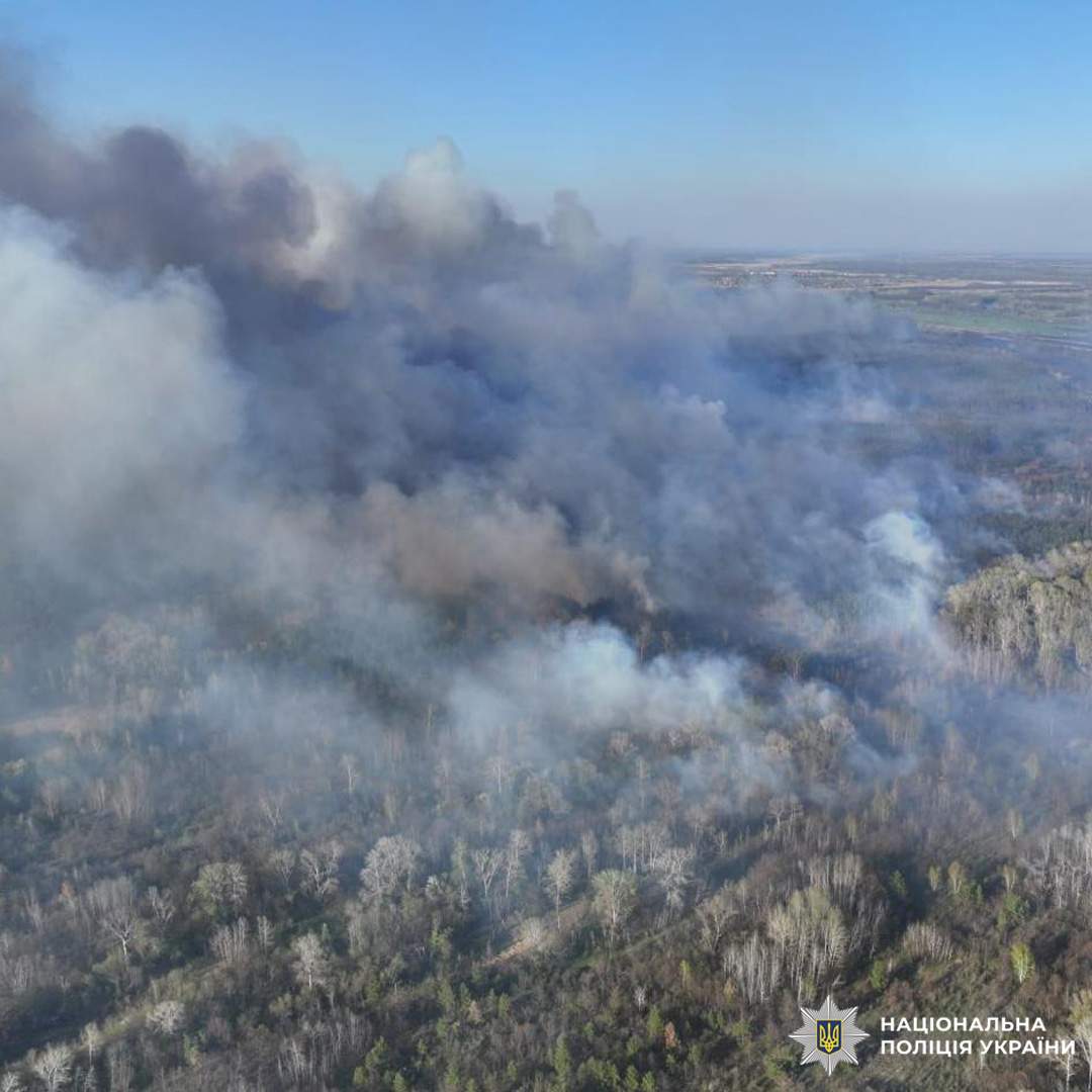 Лісова пожежа охоплює велику територію, густий дим різних відтінків піднімається вгору.