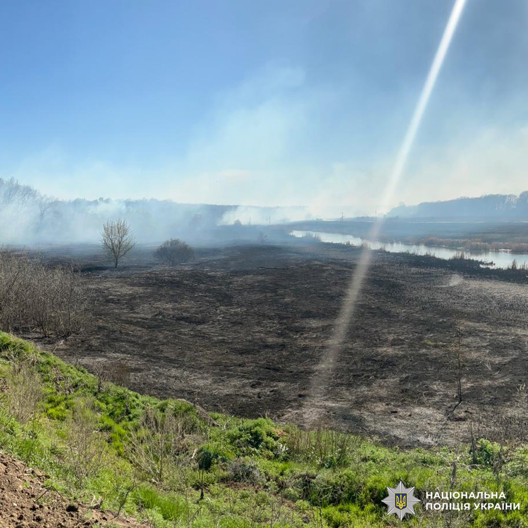 Чорна земля, дим у далині, поодинокі дерева та водойма.