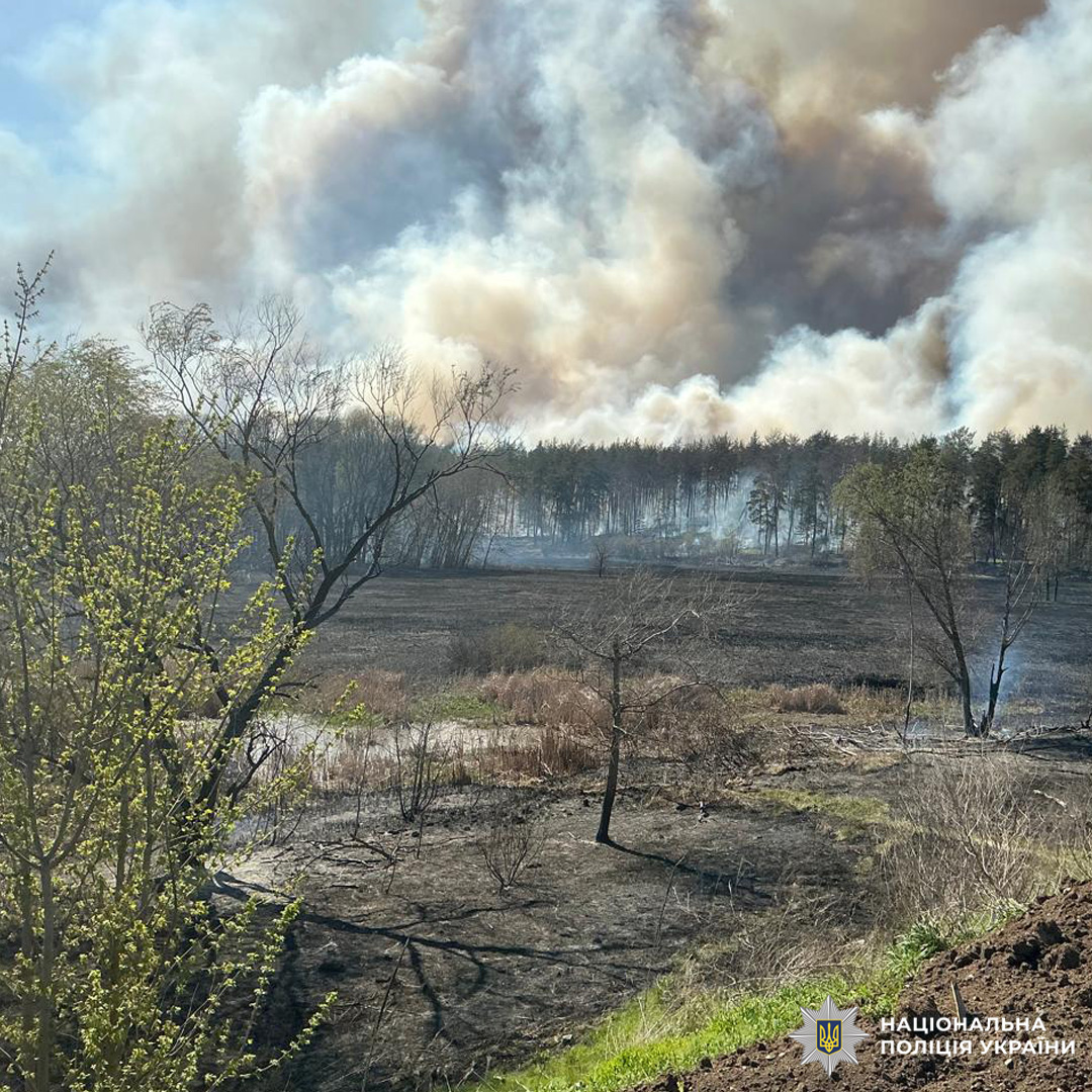 Лісова пожежа охоплює велику територію, густий дим різних відтінків піднімається вгору.