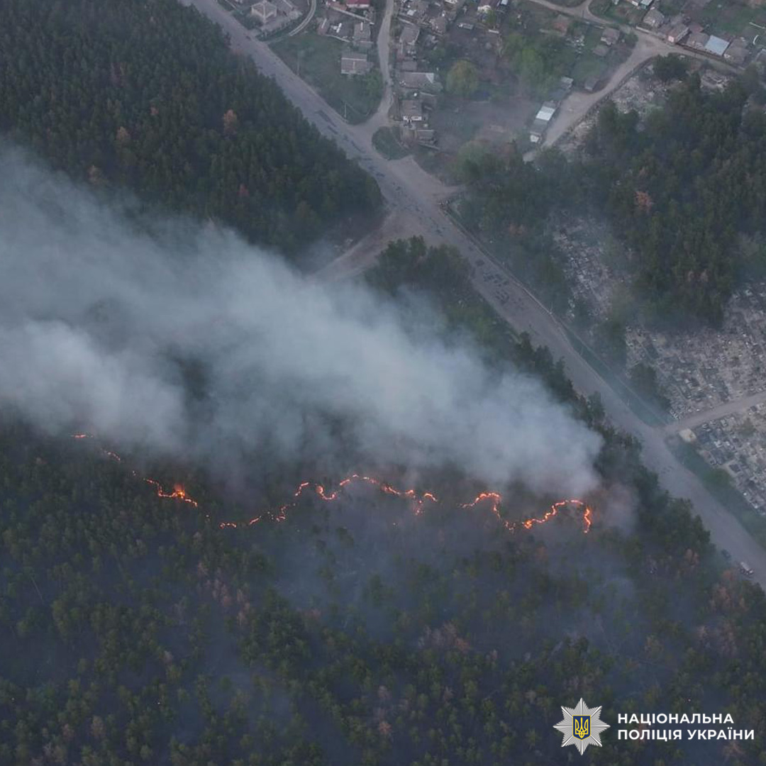 Лісова пожежа охоплює велику територію, густий дим вкриває небо.