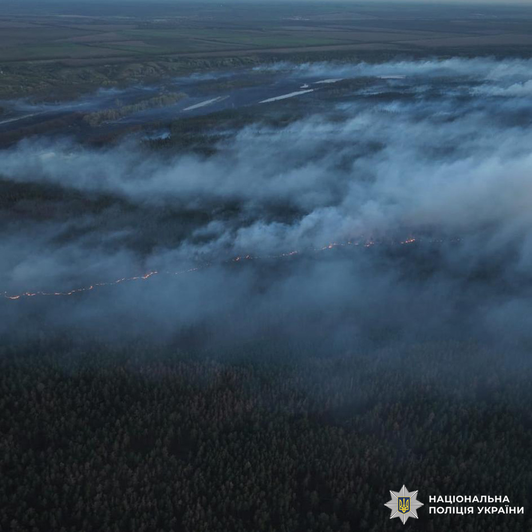 Лісова пожежа охоплює велику територію, густий дим вкриває небо.