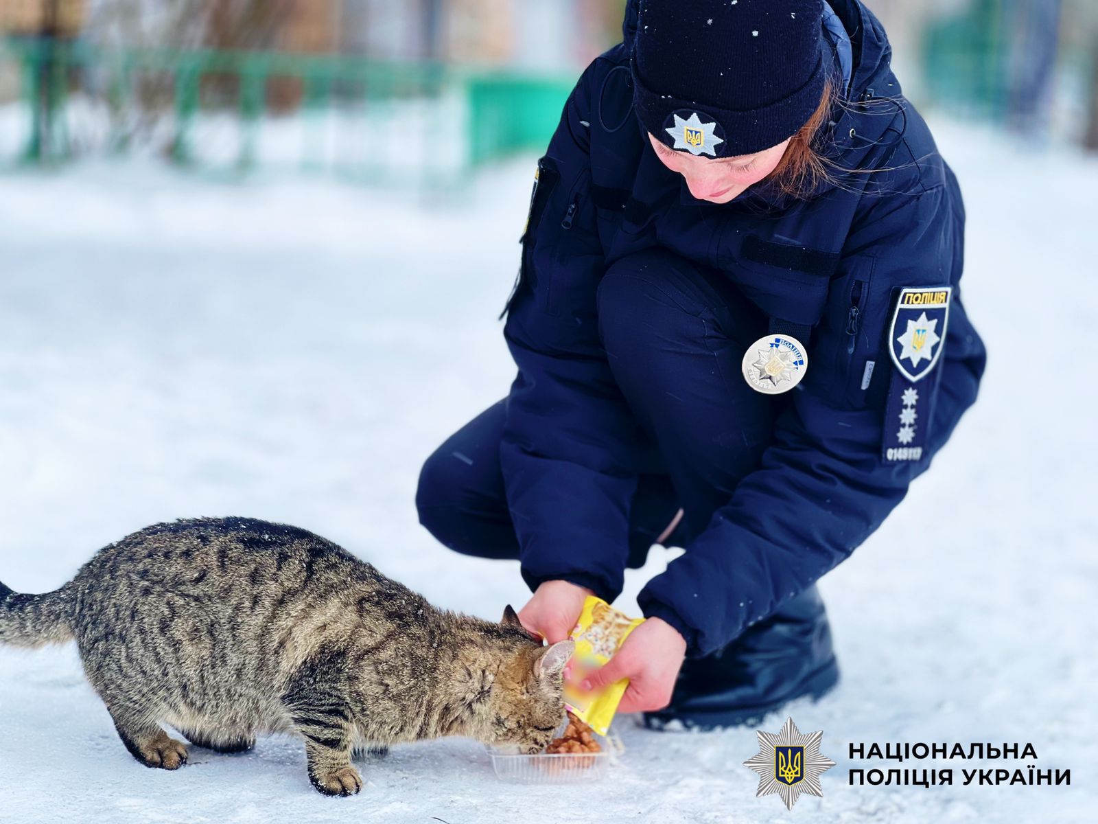 На фото поліцейська годує котика.