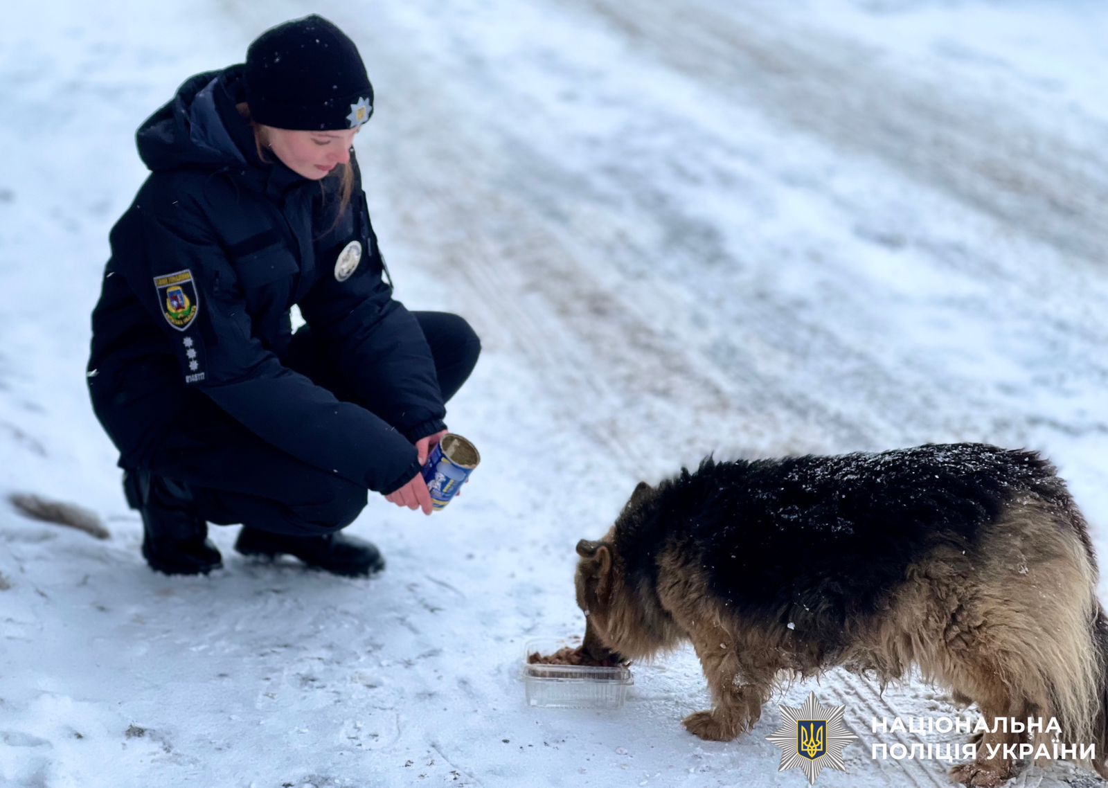 На фото поліцейська годує собаку.