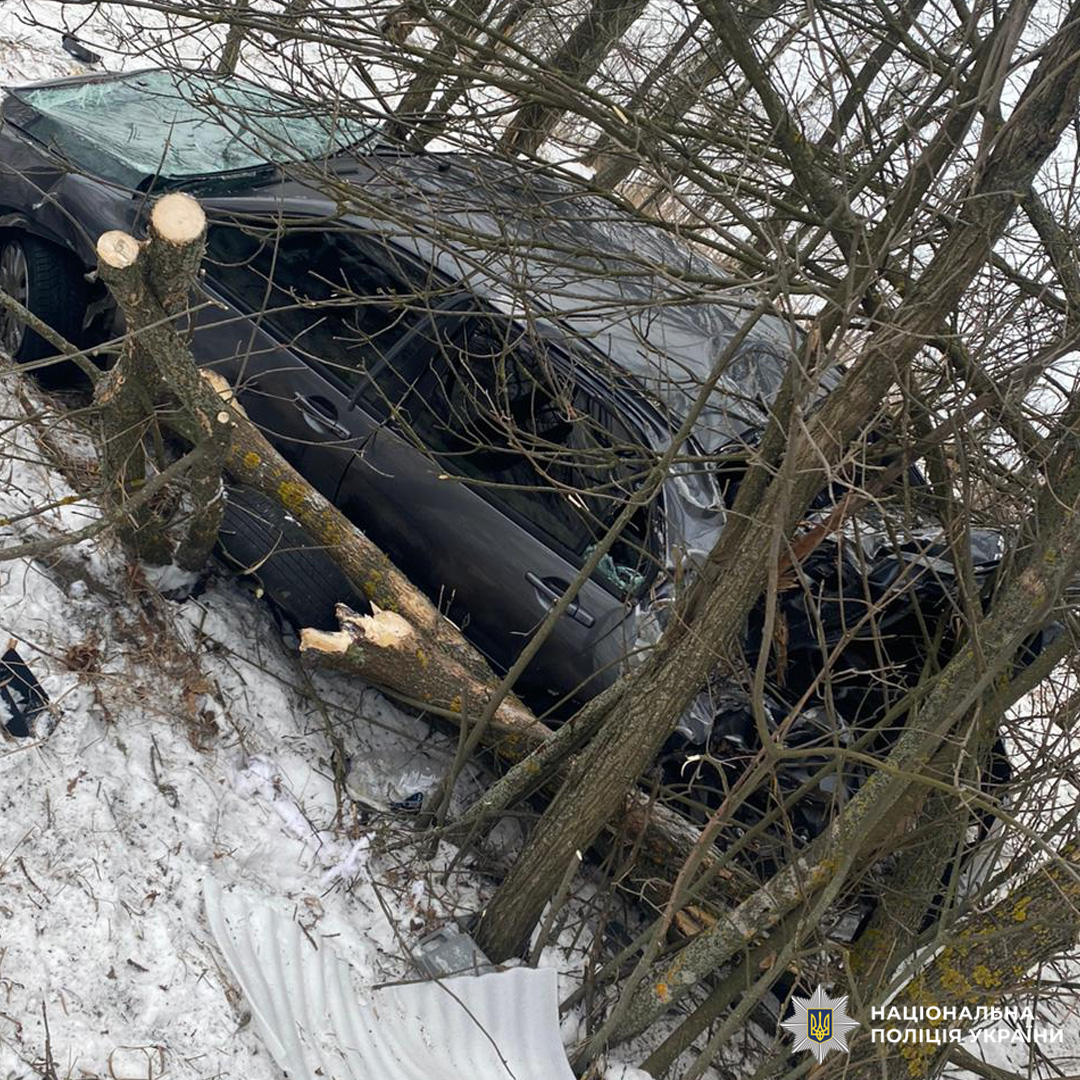 Авто злетіло з дороги й врізалось у дерева, зима.