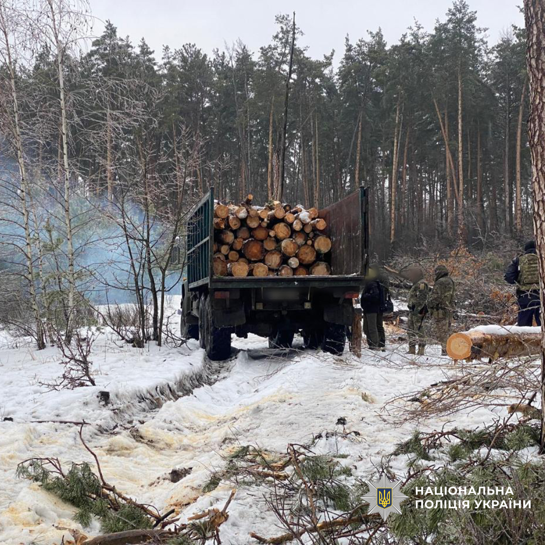 Поліція Харківщини викрила групу «чорних лісорубів», які завдали державі збитків майже на 300 тисяч гривень