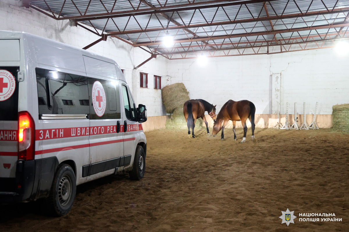 Автомобіль загону швидкого реагування та коні задокументовані поліцією у приміщенні для тренувань