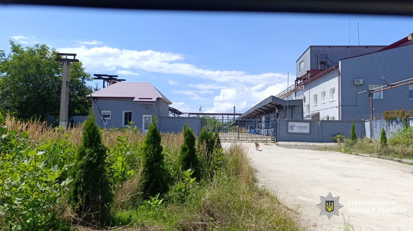 Зловживання на десятки мільйонів гривень, розтрата державного майна, організація незаконного виїзду за кордон: поліція завершила досудове розслідування щодо гендиректорки підприємства та її спільника