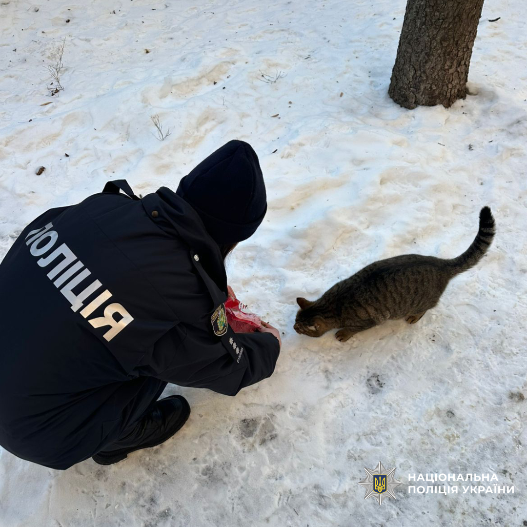 Поліцейські Слобідського району Харкова піклуються про безпеку не лише людей, а й тварин