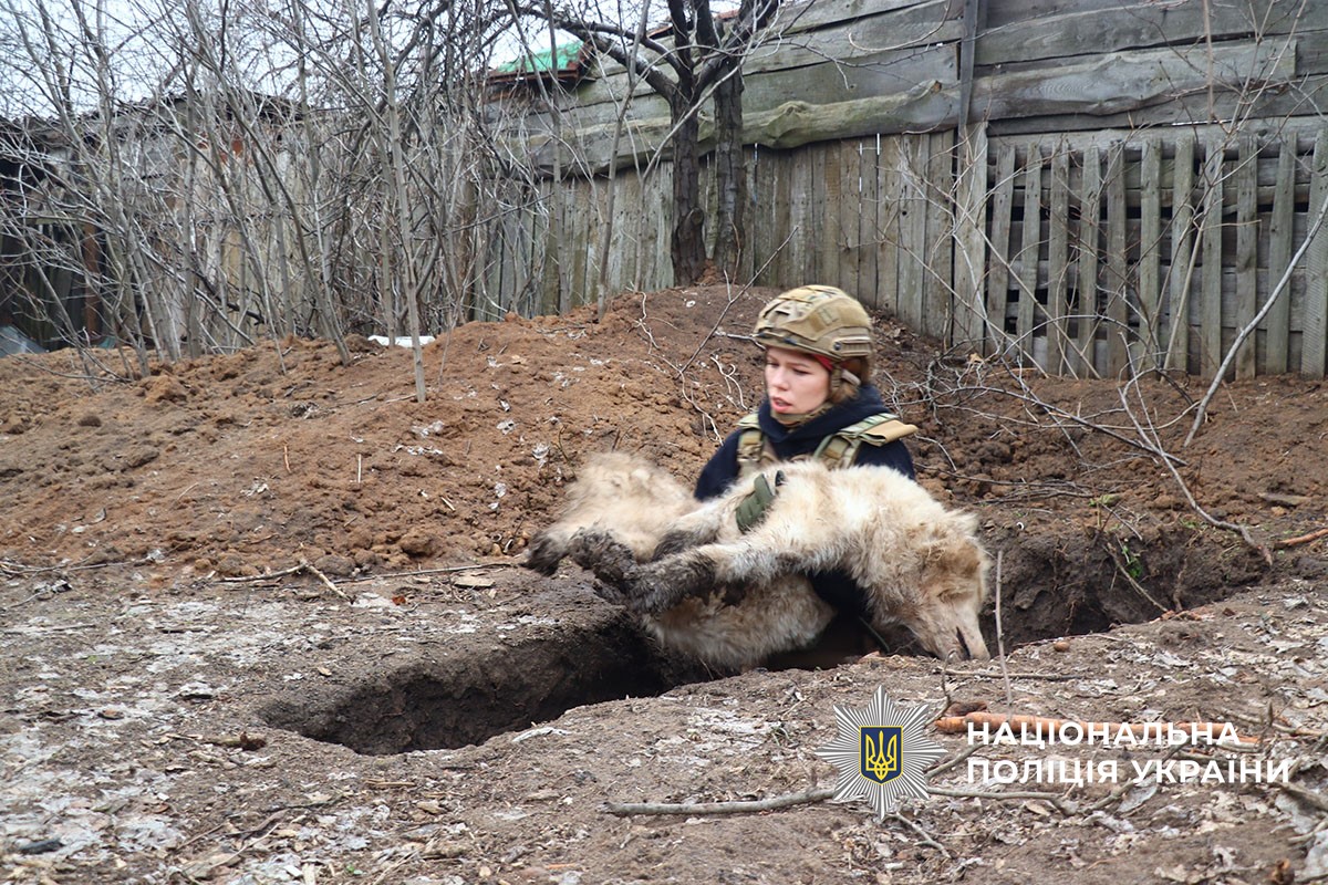 Порятунок собаки