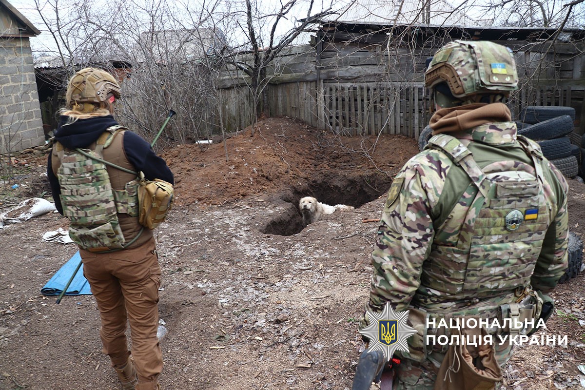 Порятунок собаки