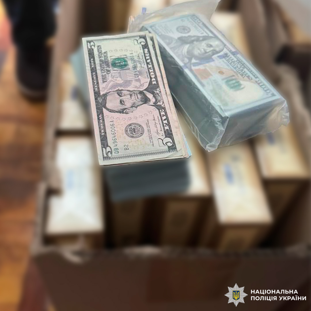 Вилучені пачки доларів США, запаковані та складені в коробку.