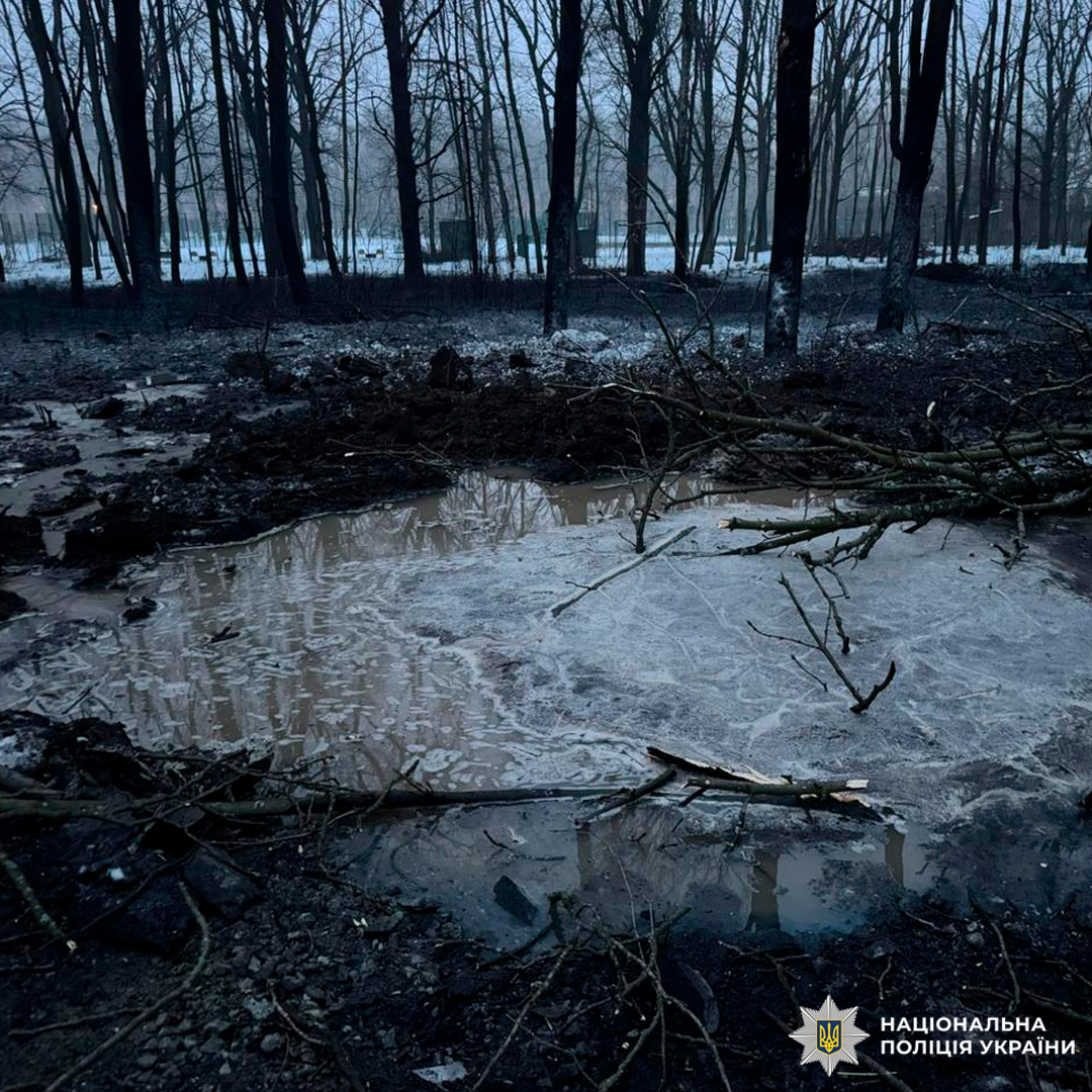 Велика вирва серед лісу, вкритого снігом. На місці видно уламки та пошкодження.