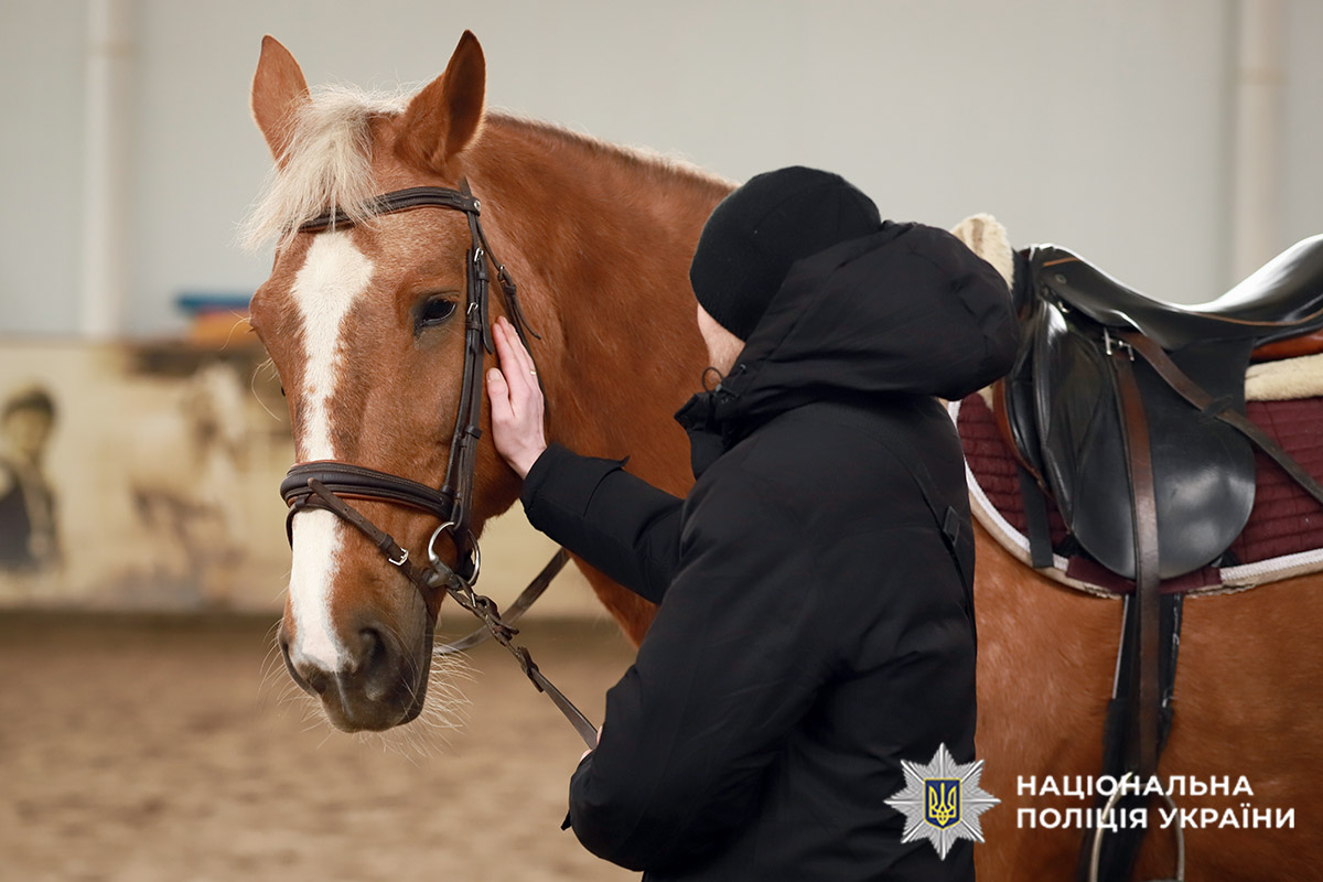 Під час візиту до клубу захисники мали змогу погодувати та погладити коней