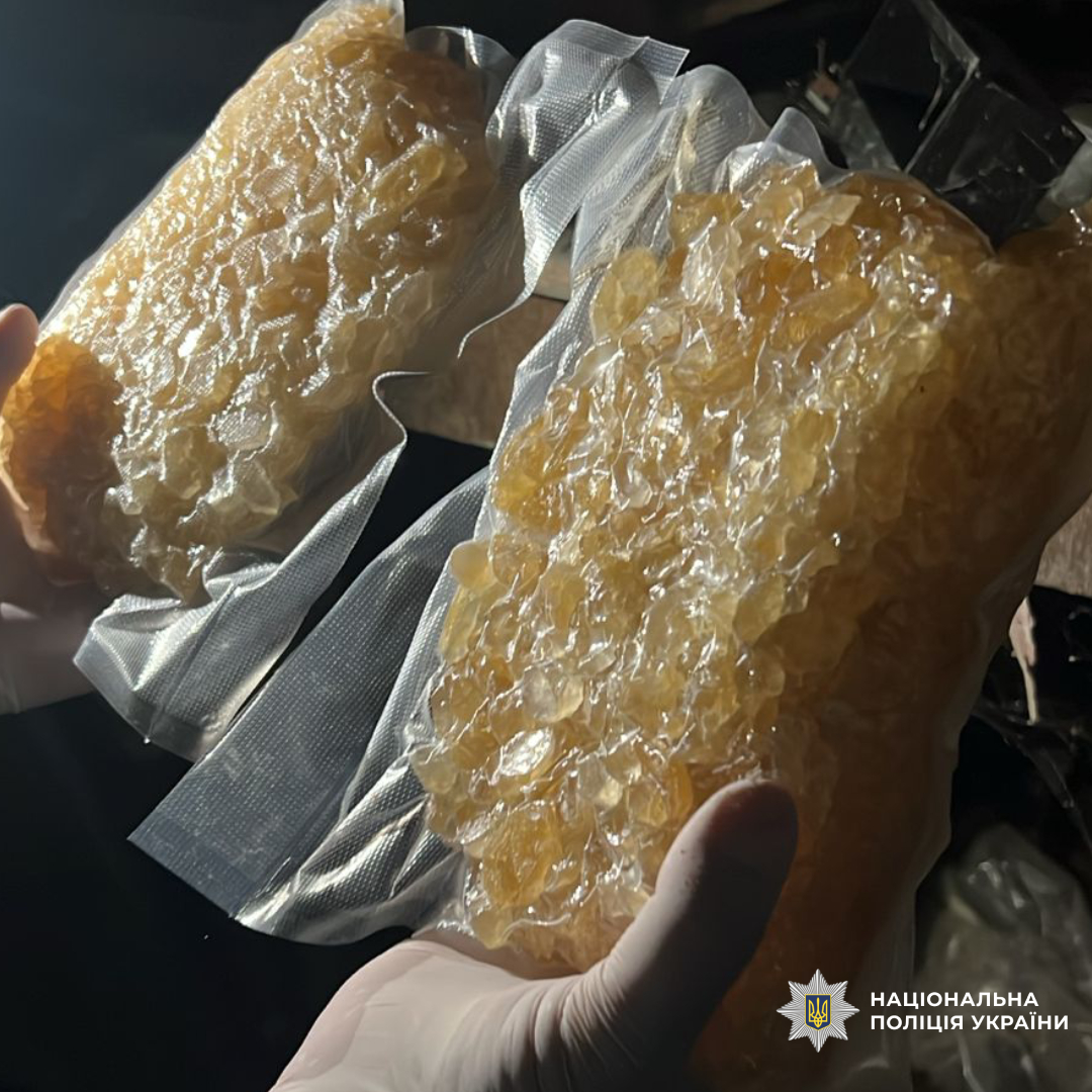 Поліція Харківщини передала до суду справу щодо наркоугруповання з мільйонними прибутками