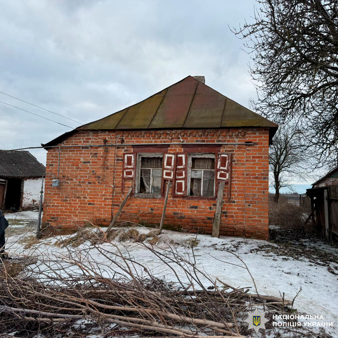 Старий цегляний будинок із металевим дахом та декоративними віконницями, зафіксований у зимовий період.