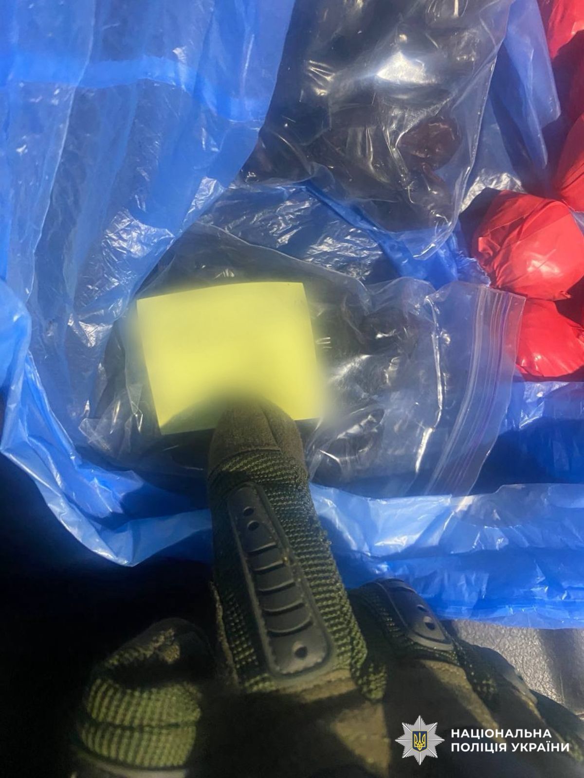 На фото вилучені, упаковані речовини.