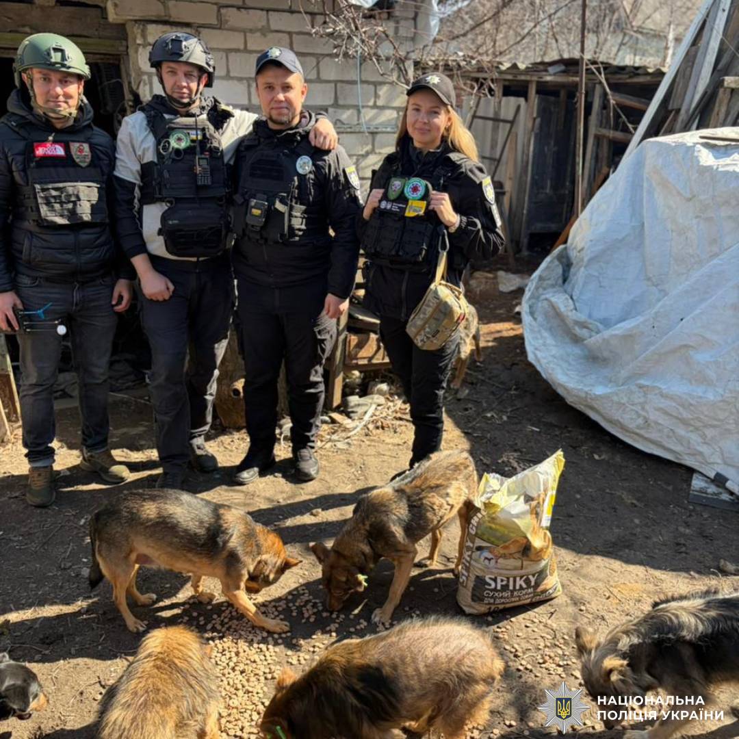 Турбота, що об’єднує: поліцейські Вовчанщини спільно з волонтерами надали допомогу чотирилапим