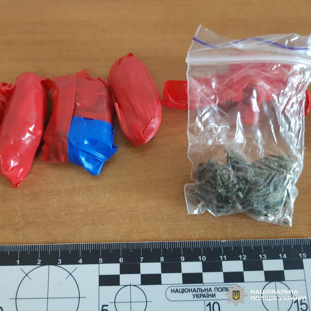 Пакети різних кольорів та прозорий пакет із рослинною речовиною, поруч масштабна лінійка для вимірювання.