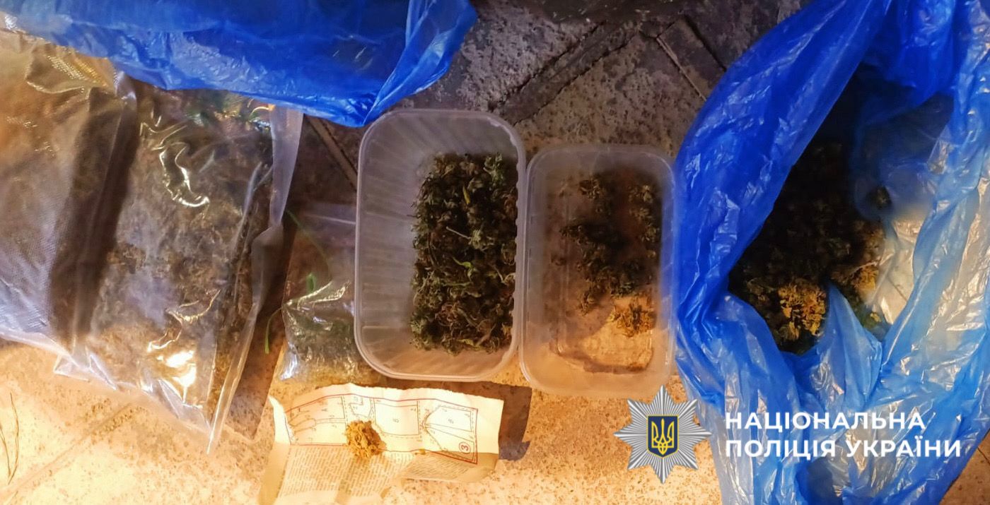 На фотографії зображено виявлені та вилучені наркотичні засоби, які чоловік вирощував та зберігав з метою подальшого збуту.