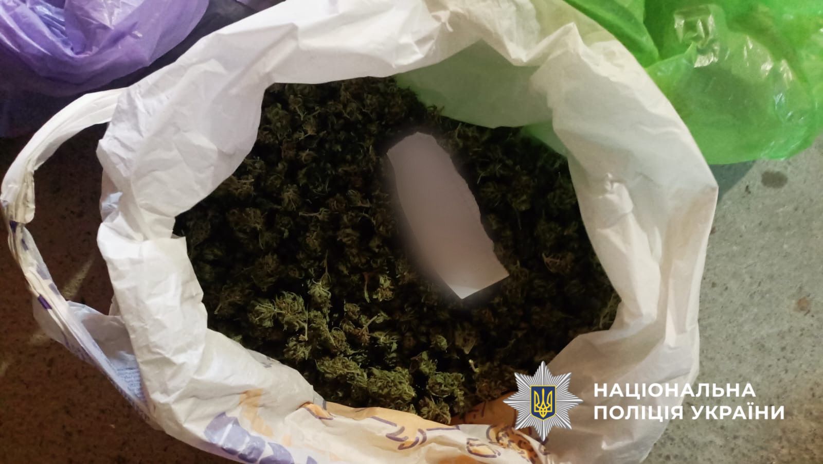 На фотографії зображено виявлені та вилучені наркотичні засоби, які чоловік вирощував та зберігав з метою подальшого збуту.