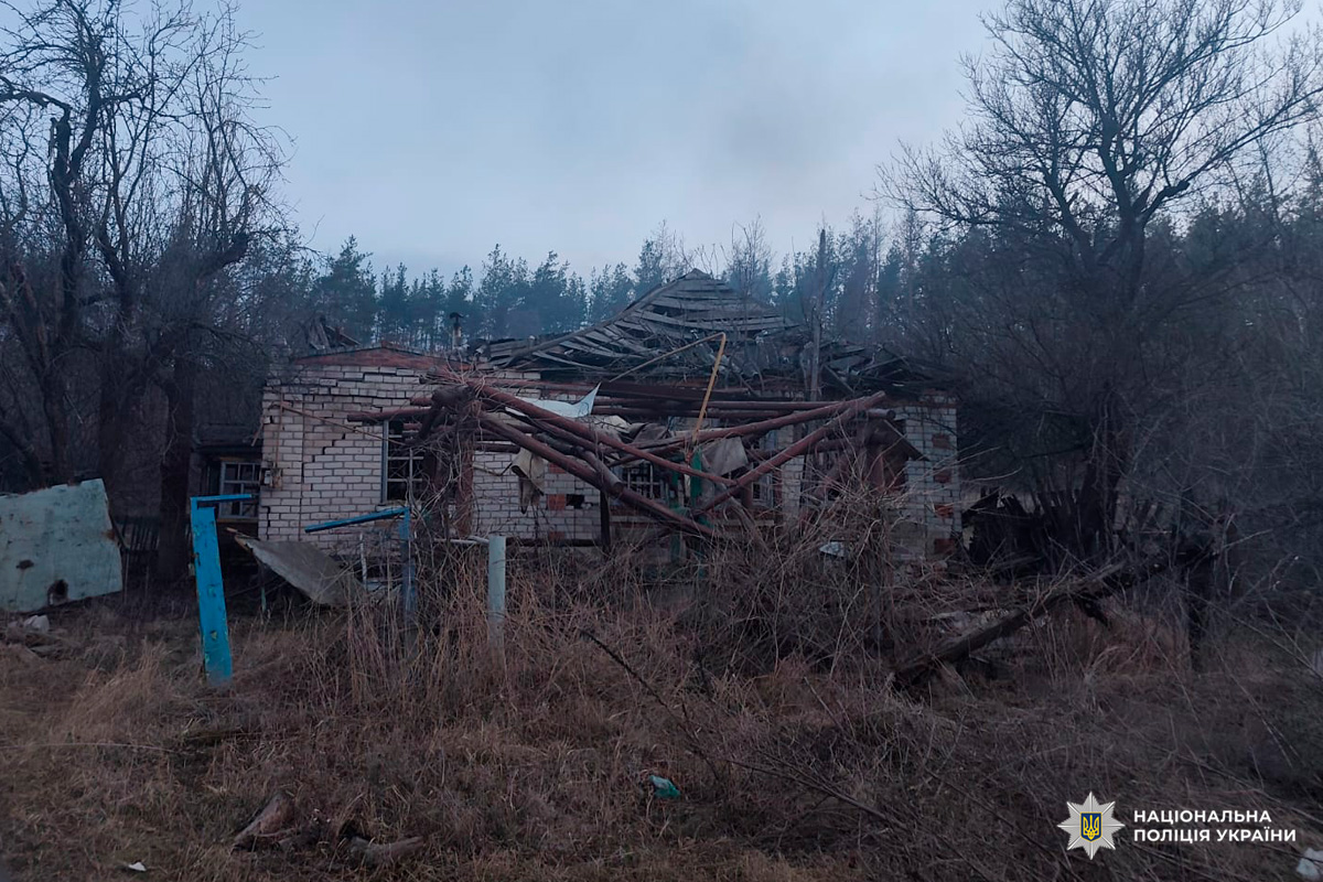 Порожній двір і зруйнований будинок: дах обвалився, балки похилилися серед дерев і заростей.