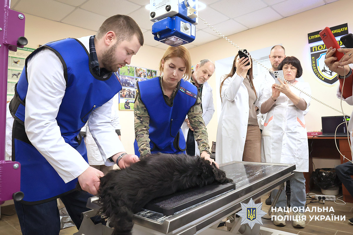 Навчання ветеринарів кінологічних центрів ефективному використанню обладнання від Фонду Говарда Баффета