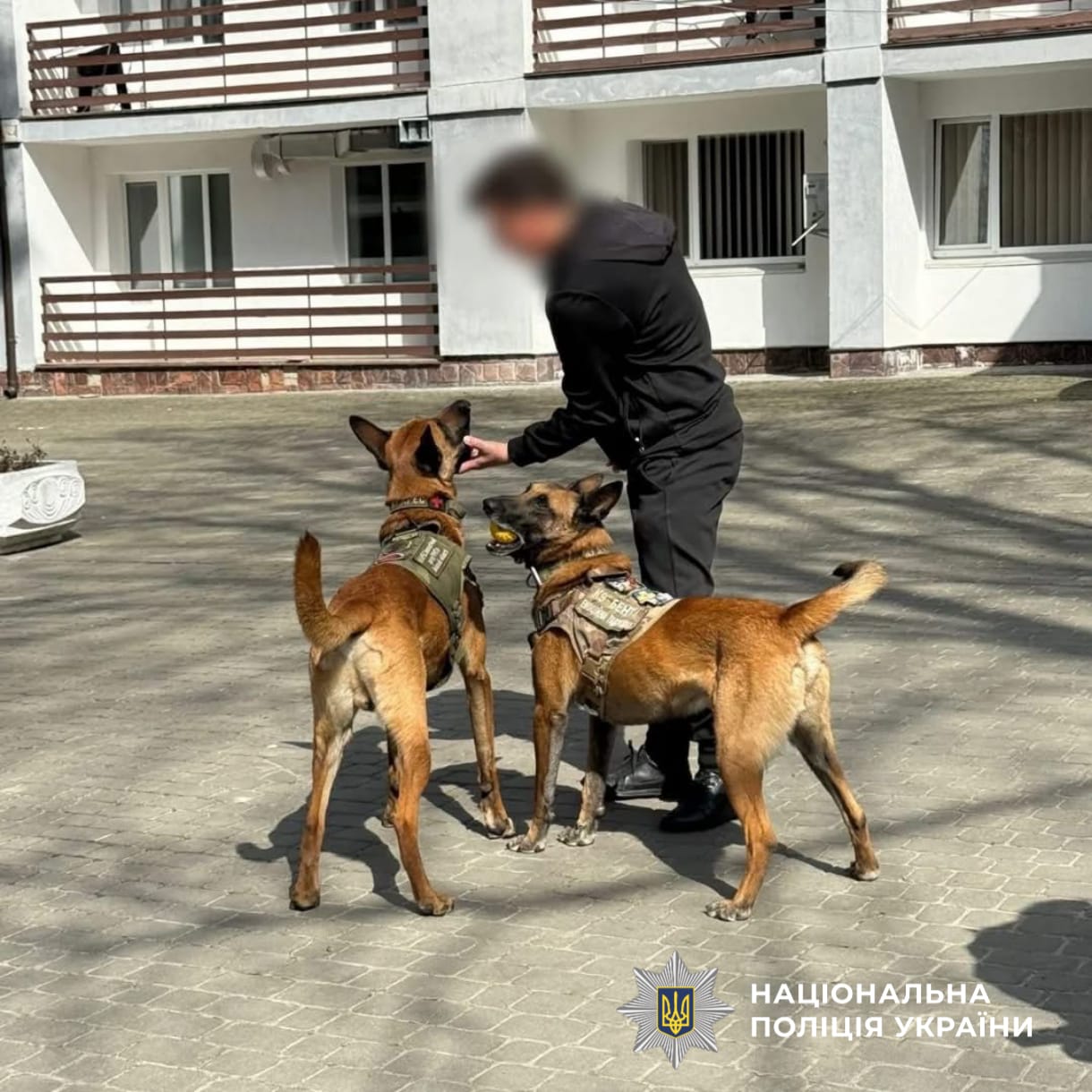 На фотографії зображено поліцейських Київщини, які із залученням собак відвідали захисників, аби підтримати їх на шляху відновлення.