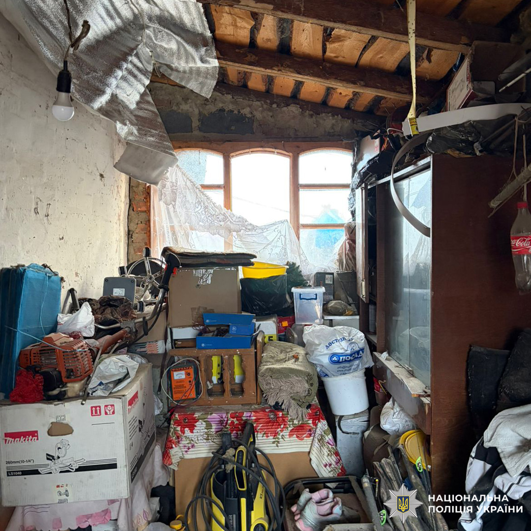 Сховище з коробками, інструментами та побутовими речами.