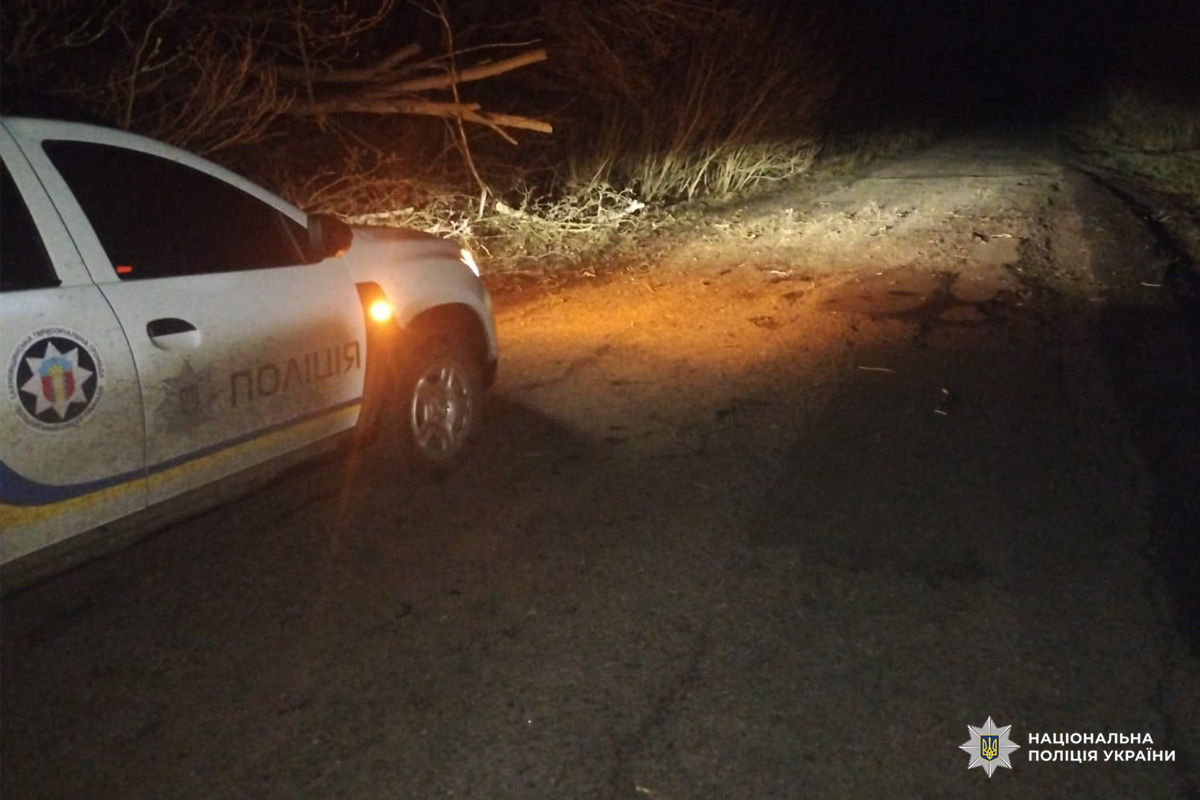 Поліцейський автомобіль із ввімкненими фарами на сільській дорозі вночі.