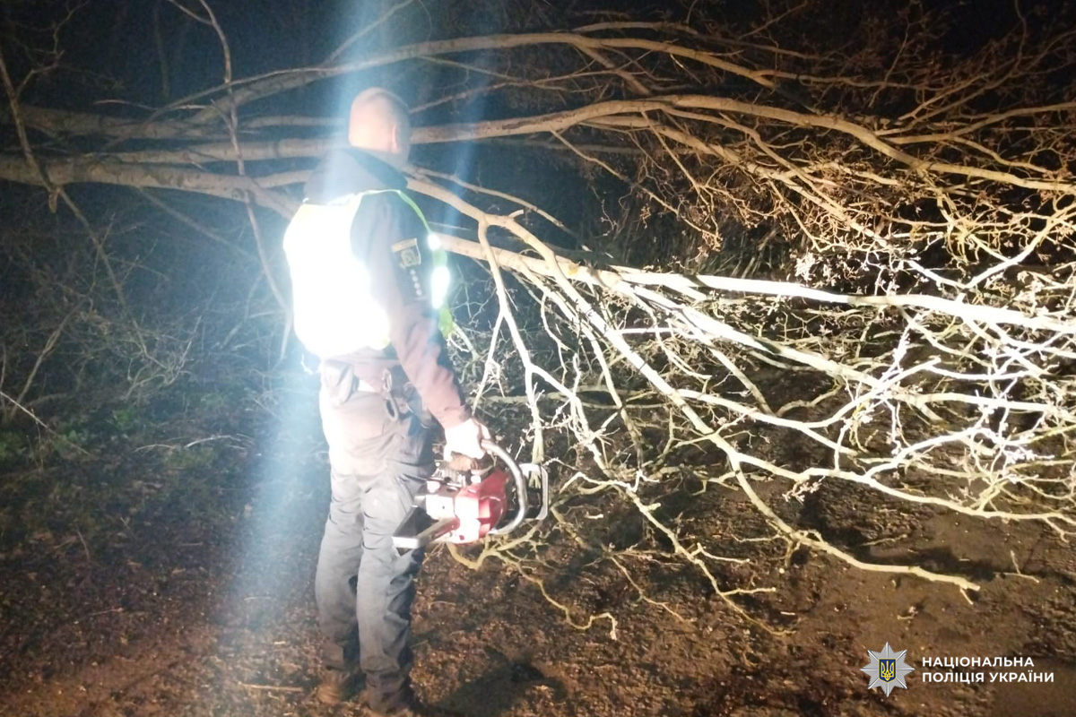 Співробітник поліції у світловідбивному жилеті розчищає шлях від поваленого дерева бензопилою.