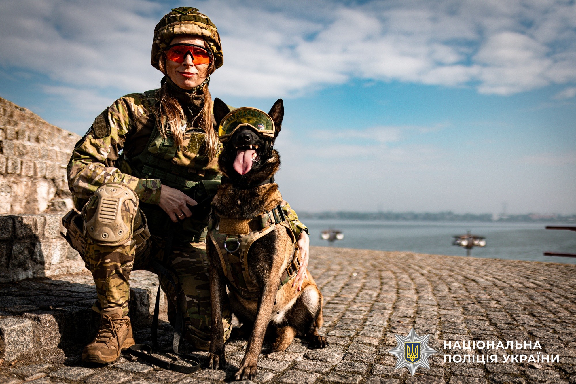 Майже 900 службових собак: як працює кінологічна служба Нацполіції