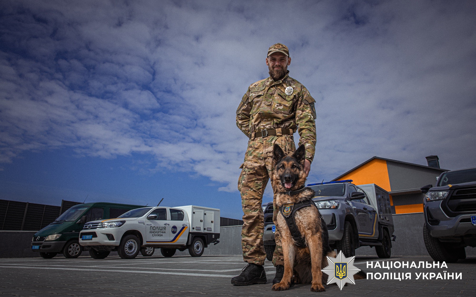 Майже 900 службових собак: як працює кінологічна служба Нацполіції
