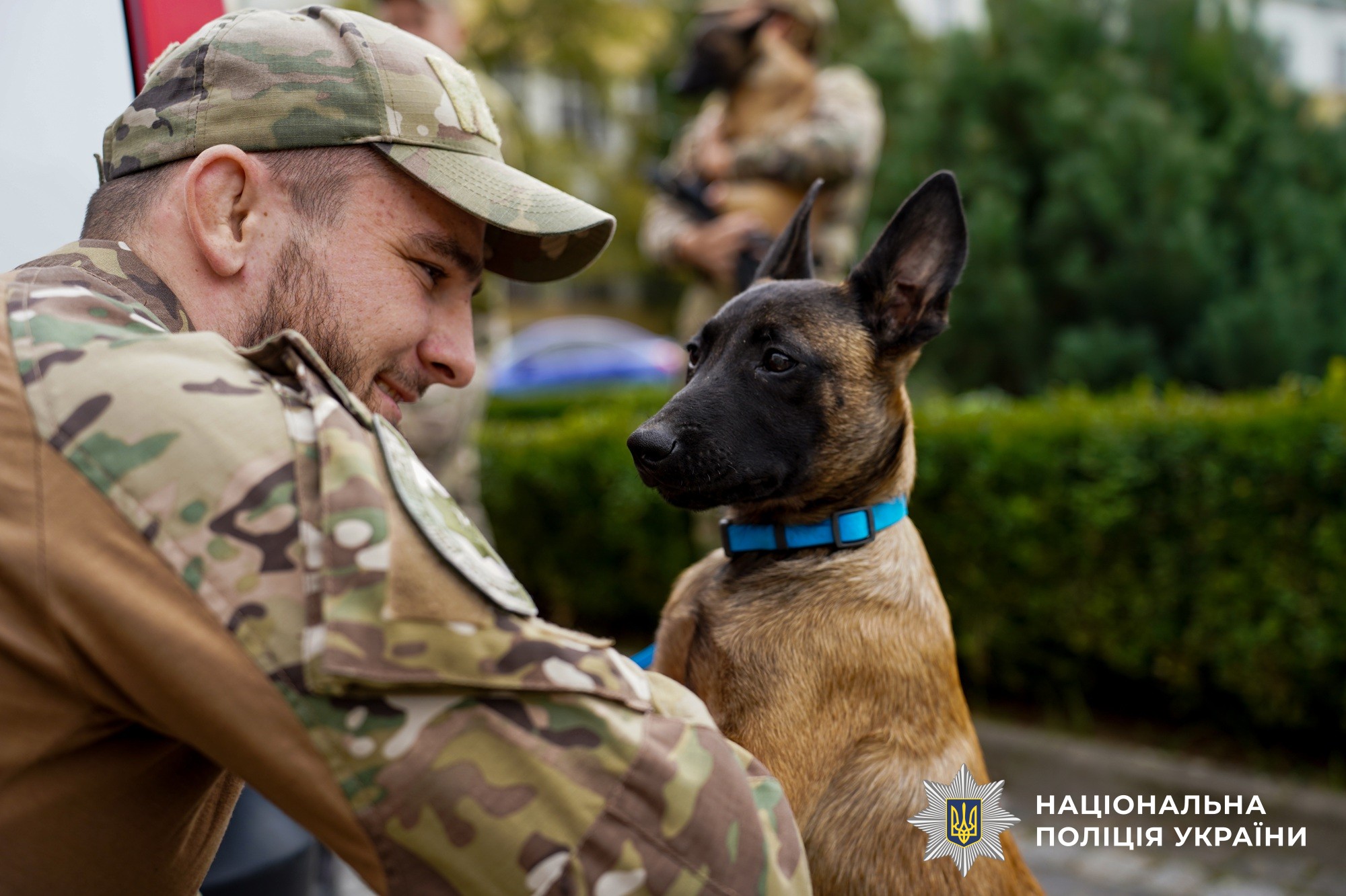 Майже 900 службових собак: як працює кінологічна служба Нацполіції