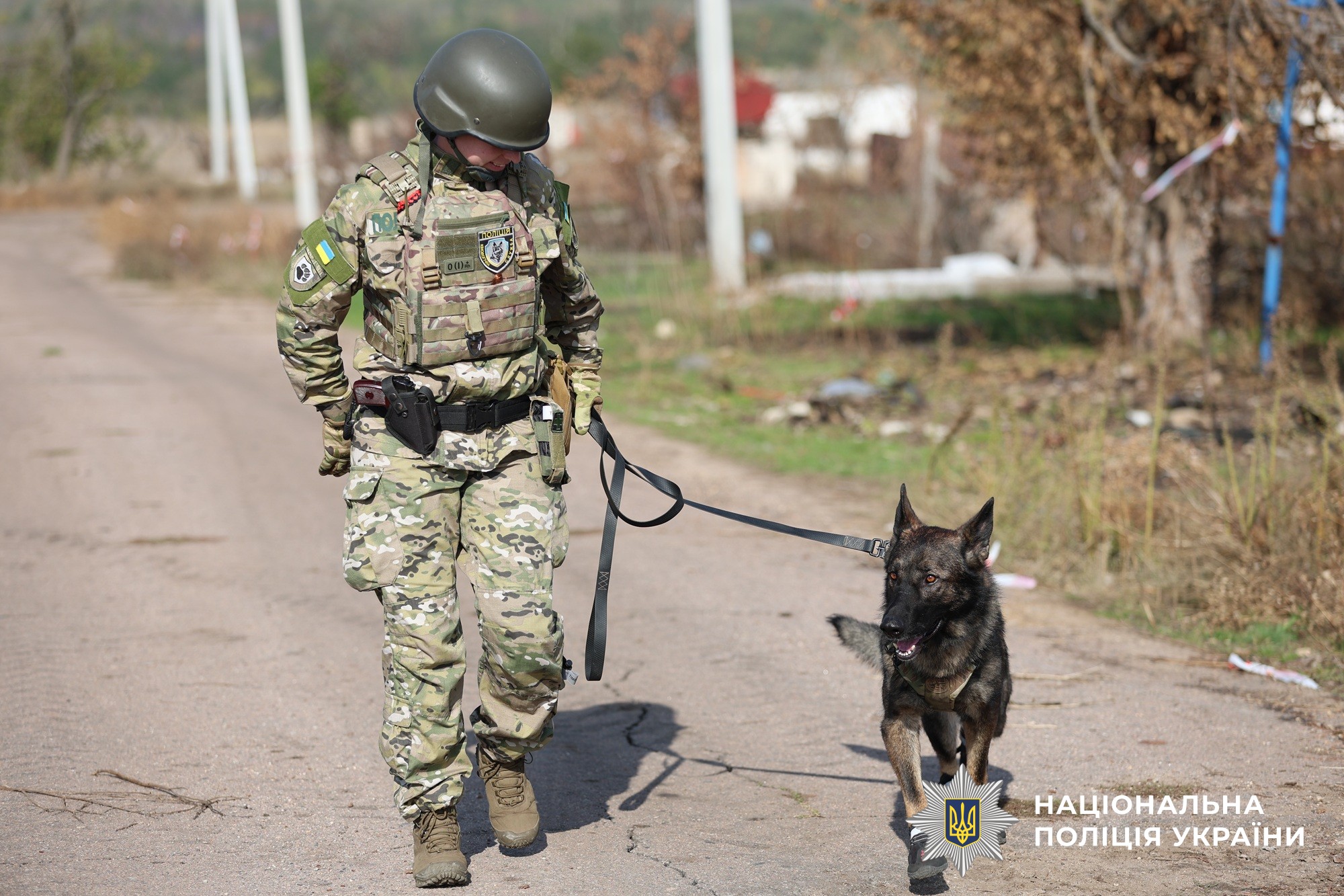 Майже 900 службових собак: як працює кінологічна служба Нацполіції